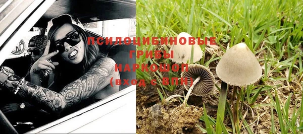 каннабис Бородино