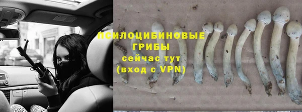 гидра Бугульма