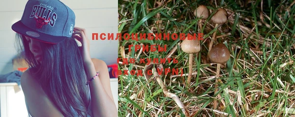 гидра Бугульма